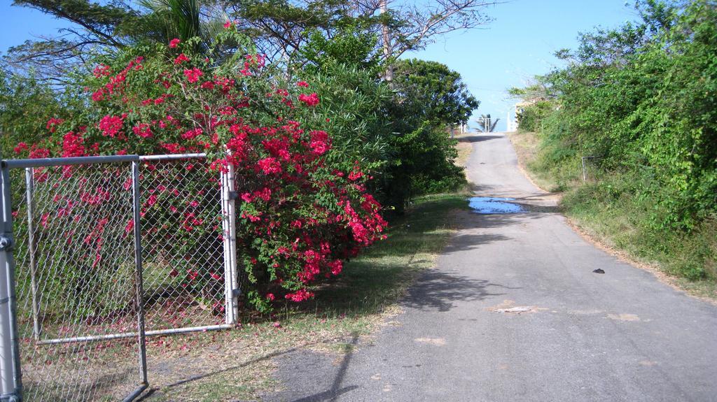 Tranquility By The Sea Villa Vieques Luaran gambar