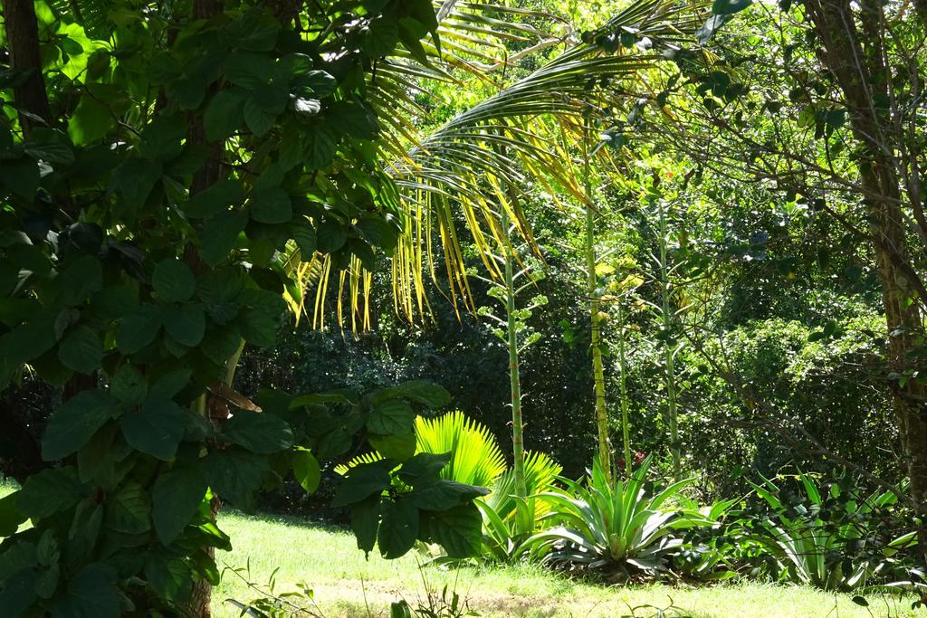 Tranquility By The Sea Villa Vieques Bilik gambar