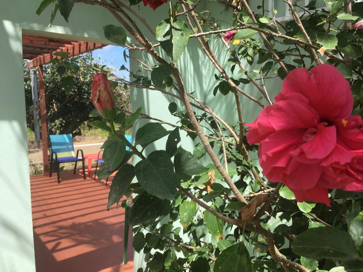 Tranquility By The Sea Villa Vieques Luaran gambar