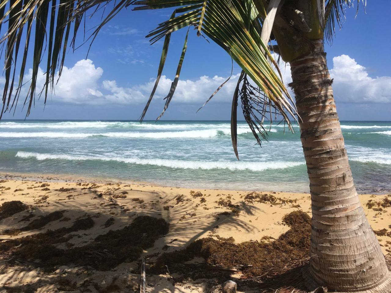 Tranquility By The Sea Villa Vieques Luaran gambar